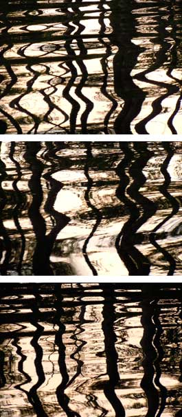 Pines Reflection, Lake Maranacook, ME