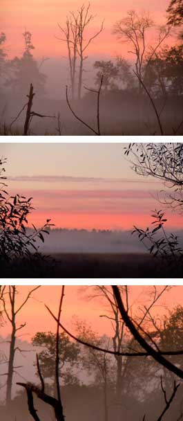 Great Meadow, Sudbury, MA