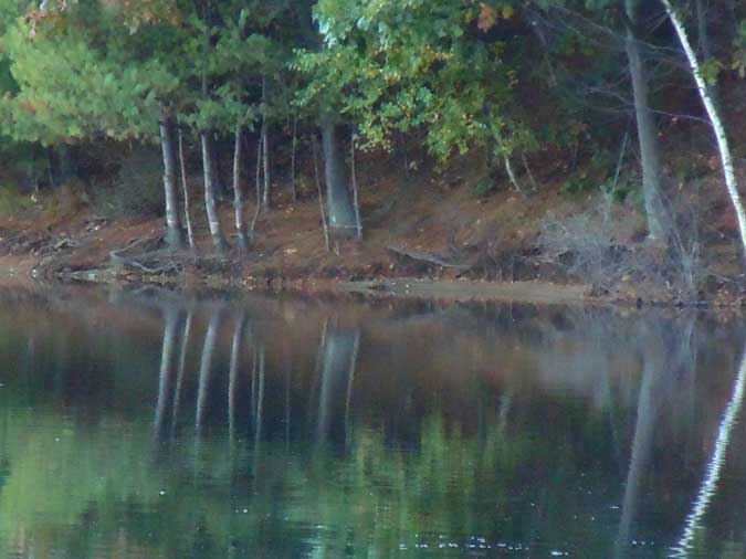 &ldquo;Lovely Dark & Deep&rdquo;