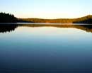 Placid Walden Pond I